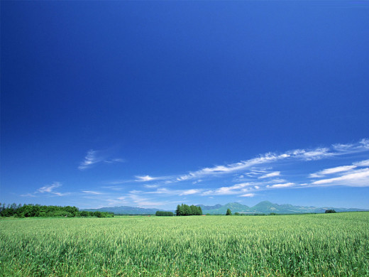 23261 (a): :1024x768